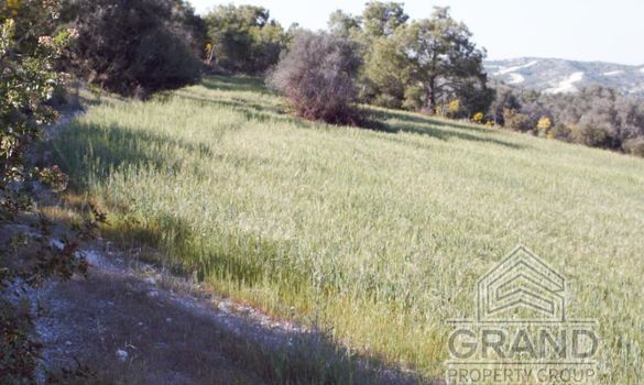  m2 - 5614 - photo-2