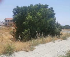  m2 - 5909 - photo-5