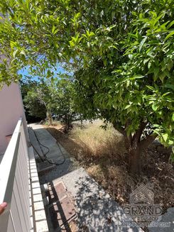 300 m2 - 6029 - photo-11