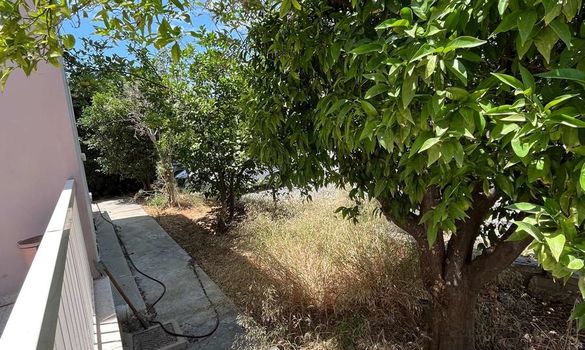 300 m2 - 6029 - photo-11