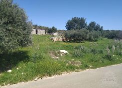 m2 - 6044 - photo-5