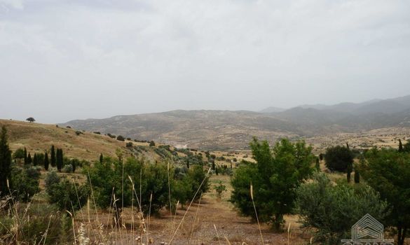  m2 - 6334 - photo-1