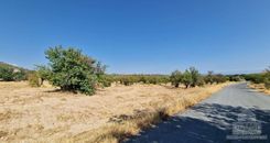  m2 - 6584 - photo-2