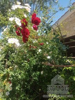 0 m2 - 6876 - photo-11