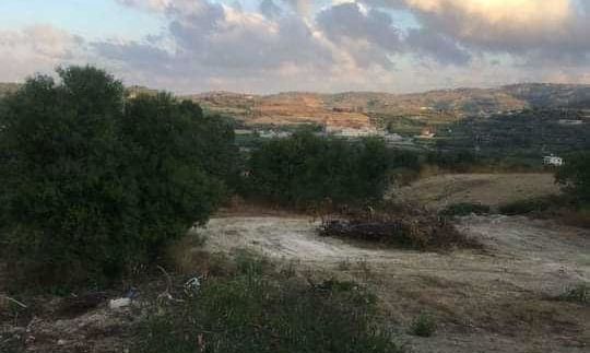 0 m2 - 6876 - photo-13