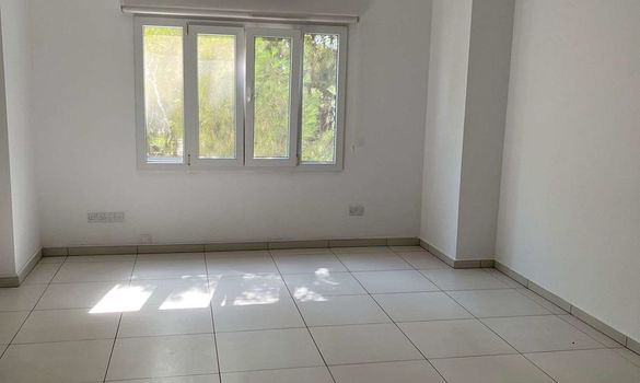 80 m2 - 6973 - photo-1