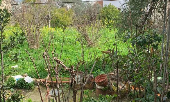 180 m2 - 7039 - photo-10