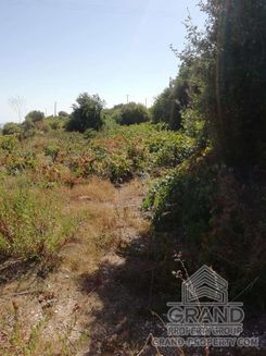 m2 - 7066 - photo-3