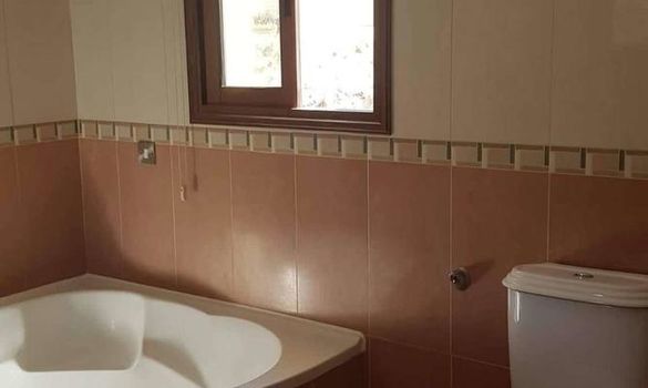 264 m2 - 7119 - photo-3