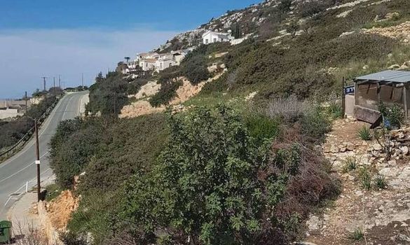 264 m2 - 7119 - photo-11