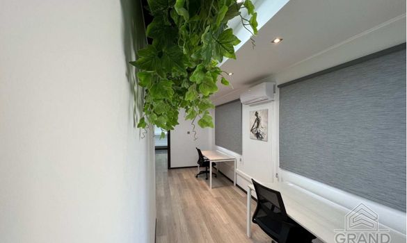 250 m2 - 7158 - photo-5