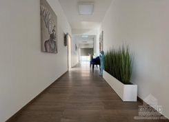 250 m2 - 7158 - photo-7