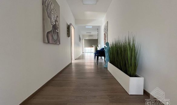 250 m2 - 7158 - photo-7