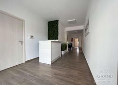250 m2 - 7158 - photo-8