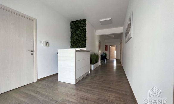 250 m2 - 7158 - photo-8