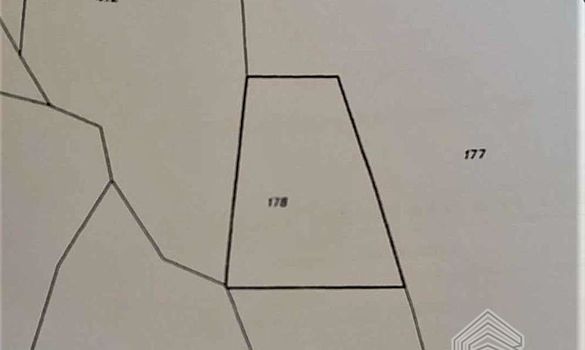  m2 - 7183 - photo-2