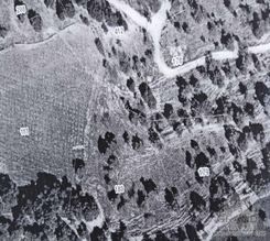  m2 - 7183 - photo-3
