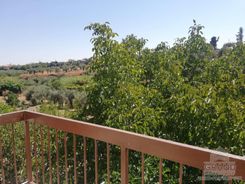 110 m2 - 7346 - photo-11