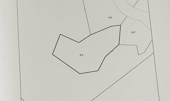  m2 - 7377 - photo-7