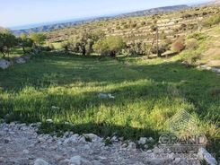  m2 - 7522 - photo-7