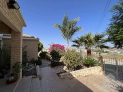 267 m2 - 7595 - photo-3