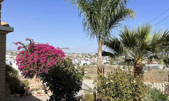 267 m2 - 7595 - photo-11