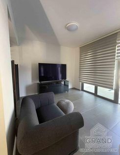 250 m2 - 7600 - photo-3