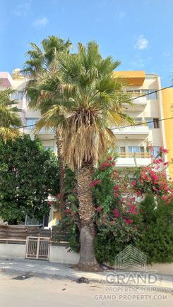 58 m2 - 7996 - photo-12