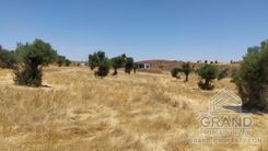 G5779 - photo-2
