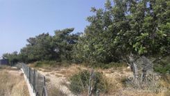 Field - G4741 - photo-2