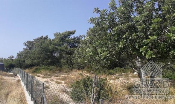 Field - G4741 - photo-2