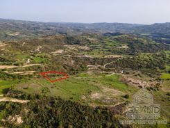 Field - G8178 - photo-2