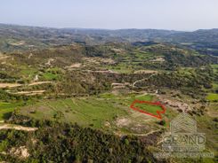 Field - G8181 - photo-2