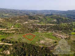 Field - G8179 - photo-2
