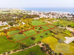 Field - G8140 - photo-1