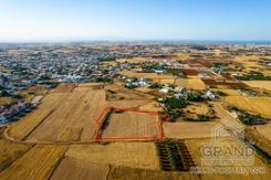 Field - G6984 - photo-3