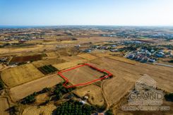 Field - G6984 - photo-4