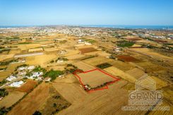 Field - G6984 - photo-6