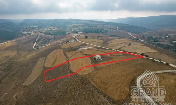 Field - G7228 - photo-4