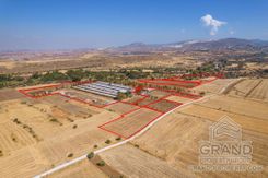 Field - G5604 - photo-1