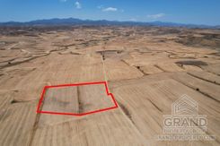 Field - G8529 - photo-1