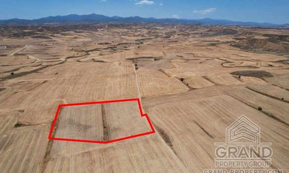Field - G8529 - photo-1