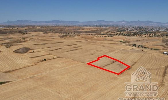 Field - G8529 - photo-2