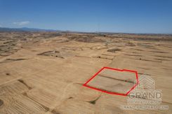 Field - G8529 - photo-3