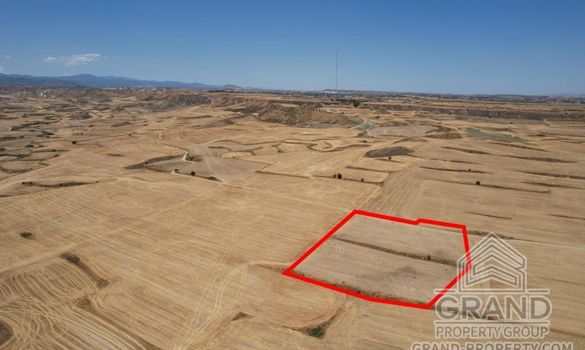 Field - G8529 - photo-3