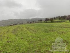 Field - G5362 - photo-2