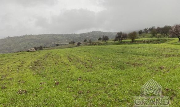 Field - G5362 - photo-2