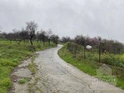 Field - G5362 - photo-3
