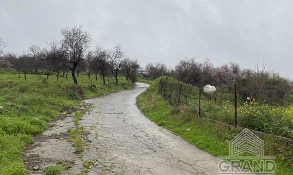 Field - G5362 - photo-3