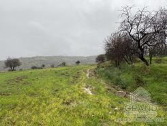 Field - G5362 - photo-1